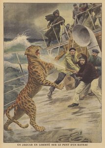 Uniklý jaguár na svobodě na lodi (barva litho) od French School