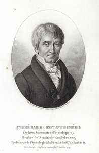 André Marie Constant Dumeril od French School