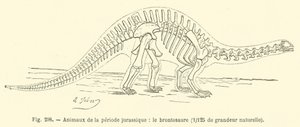 Zvířata jurského období, Brontosaurus (rytina) od French School