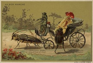 Karty Au Bon Marche s antropomorfním hmyzem od French School