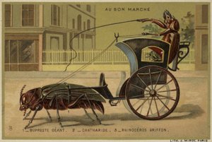 Karty Au Bon Marche s antropomorfním hmyzem od French School