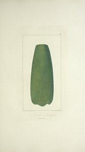Aztécká sekera, ilustrace z „Pohledy na Kordillery a památky domorodých národů Ameriky“ od Alexandra von Humboldta a Aime Bonpland od French School