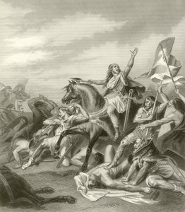 Bitva u Tolbiacum, 496