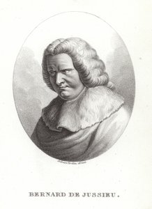 Bernard de Jussieu od French School