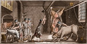 Boucher – Řeznictví – Řeznictví – „“ Velká encyklopedie nebo Dictionnaire Raisonne des Sciences, des Arts et des Metiers“ (Encyklopedie nebo Slovník věd, umění a povolání) od Denise Diderota (1713-1784) a Jean d