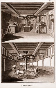 Brasserie – „Velká encyklopedie neboli Dictionnaire Raisonne des Sciences, des Arts et des Metiers“ (Encyklopedie nebo slovník věd, umění a povolání) od Denise Diderota (1713-1784) a Jeana d