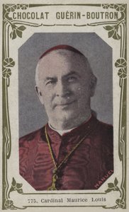 Kardinál Maurice Louis (barevná fotografie) od French School
