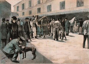 Péče o velblouda na Ecole Nationale Veterinaire d