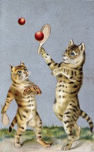 Kočky hrající tenis - pohlednice počátku 20. století. od French School