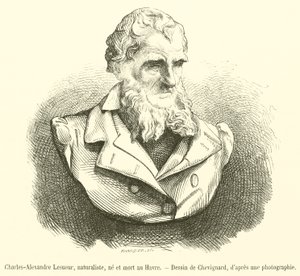 Charles-Alexandre Lesueur, přírodovědec, narozen a zemřel v Le Havre (rytina) od French School