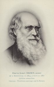 Charles Darwin (1809-1882), anglický přírodovědec (litografie) od French School