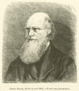 Charles Darwin, decede en avril 1882 (rytina) od French School