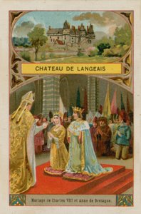 Hrad Langeais od French School
