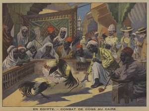 Kohoutí zápasy v Káhiře (barevné lito) od French School