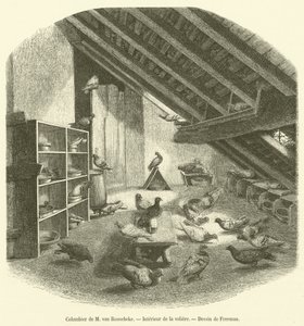 Colombier de M van Roosebeke, Interieur de la voliéra (rytina) od French School