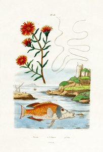 Coppers Hardy Ice Plant, 1833-39 od French School