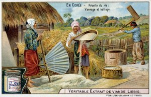Jádro: sklizeň rýže, tkaní a mlácení - chromo. Liébig, v. 1900 od French School