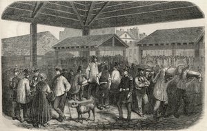 Výroba řeznického masa na trhu rue des Prouvaires v 1. pařížském obvodu – rytina v „Tableau-de-Paris““ od Edmonda Texiera 1852 od French School