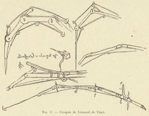 Croquis de Leonard de Vinci od French School