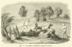 Cynocephales bojující s lesními příšerami (rytina) od French School