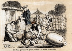 Popis různých použití a produktů z ovcí: bourání ovcí. Deska “” Les moutons”” v “” les Recreations instructives”” Synoptický obraz od Julese DELBRUCKA, rytina z roku 1860. Soukromá sbírka. od French School