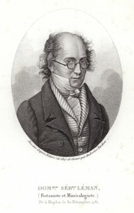 Dominique Sebastion Leman od French School
