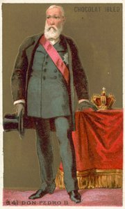 Don Pedro II, císař Brazílie od French School