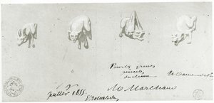 Kresba pro restaurování chrličů Notre Dame, 1855 od French School