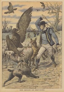 Orli útočí na stádo ovcí v Bretani (barevná litografie) od French School
