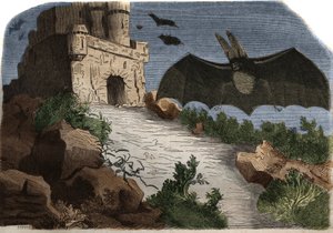 Rytina z roku 1858 v "The Musee Des Sciences" od French School