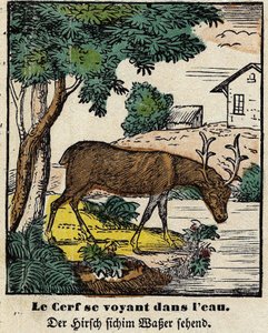 Bajky de La Fontaine: jelen se vidí ve vodě. Obrázek Epinal, první polovina 19. století od French School