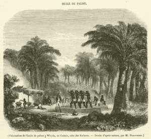 Výroba palmového oleje ve Whyda, Guinea, Slave Coast (rytina) od French School