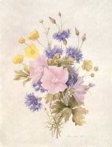 Field Flowers, 1842 (wc na papíře) od French School