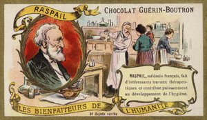 Francois-Vincent Raspail , francouzský lékař (chromolitho) od French School