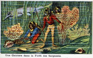 Budoucí dny: Vize roku 2000 z devatenáctého století – série „“ V roce 2000“: mýtina v Sargasovém lese (pod mořem). Chromolitografie od Villemarda od French School