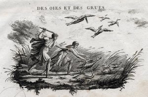 Husy a jeřábi - Fable d