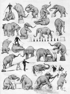 Cirkus Geo Lockhart známý svými slony se usadil v Hippodrome de Paris, v „“The Illustrious World“ od French School