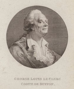 Georges-Louis Leclerc, Comte de Buffon, francouzský přírodovědec (rytina) od French School