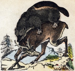 Žrout. Gravírování v „“Abeceda zvířat sauvages““. 9. série. Obrázky Epinal, Pellerin, tiskárna-nakladatel, kolem roku 1870. Rytiny na dřevě, šablona. 16 stran. Rozměr: 20 x 15 cm. Soukromá sbírka od French School