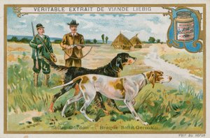 Gordon Setter a Braque St Germain od French School