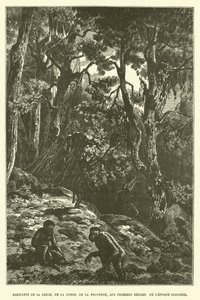 Obyvatelé Řecka, Švýcarska, Provence, v prvních stoletích období pliocénu (rytina) od French School