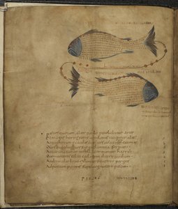 Harley 647, f.3v Ilustrace souhvězdí Ryb, z 