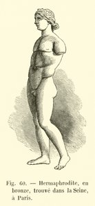 Bronzový hermafrodit nalezený v Seině v Paříži (rytina) od French School