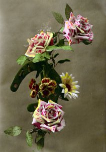 Podkova a květiny kolem roku 1898 (ručně tónovaná fotografie) od French School