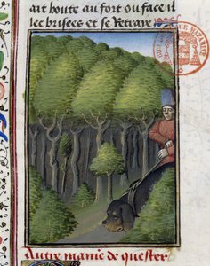 Lovecký pes - v "" Lovecké knize Gastona Phoebuse, hraběte z Foix, lorda z Béarnu"" od French School