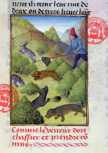 Lov králíků se psy a sítěmi, z Livre de la Chasse od Gastona Phebuse, počátek 15. století od French School