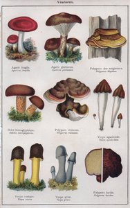 Ilustrace k knize "mon docteur - traite de medecine et d