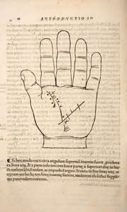 Ilustrace z Chiromantia od Joannes Indagioe, Štrasburk, 1531 (tisk a rytina) od French School