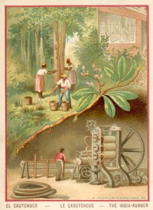 indický kaučuk (chromolitho) od French School