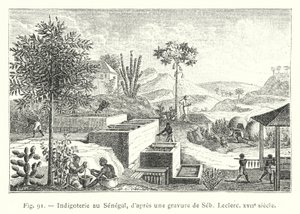 Indigoterie v Senegalu, podle rytiny Seb, Leclerc, 17. století (rytina) od French School